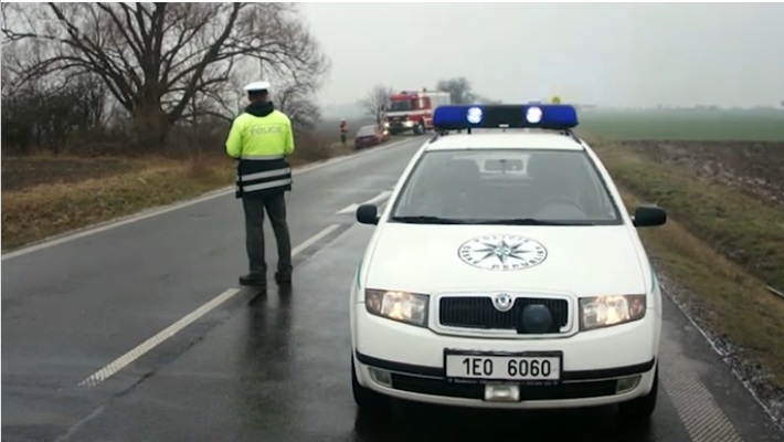 Fabia.jpg
