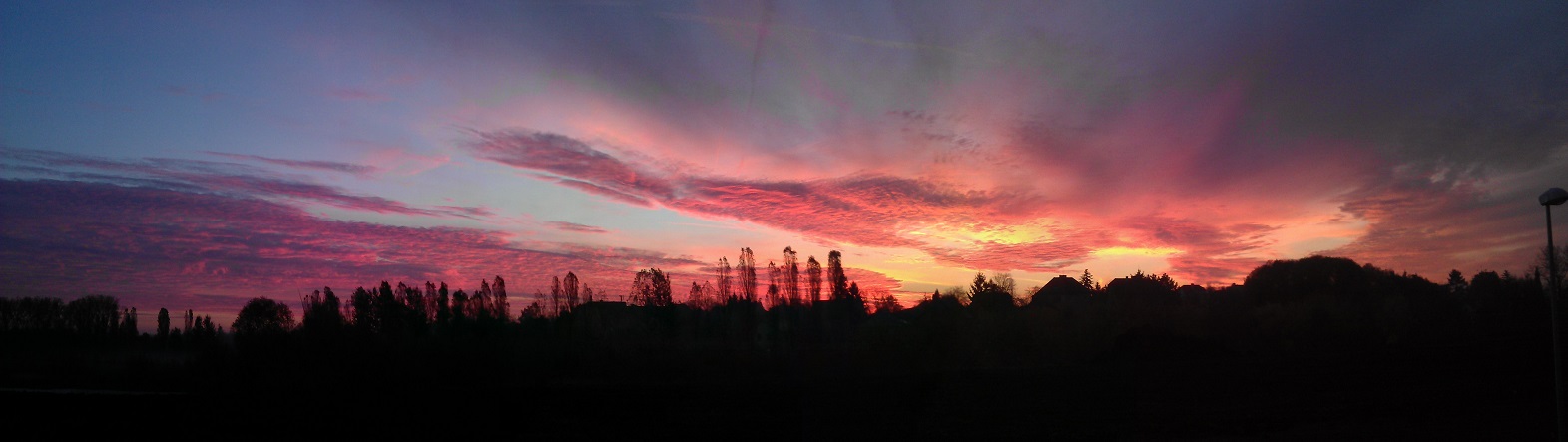 IMAG08872.jpg
