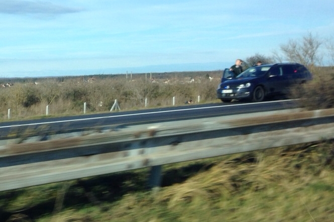 SK-D2-9KM-20141219-B.jpg